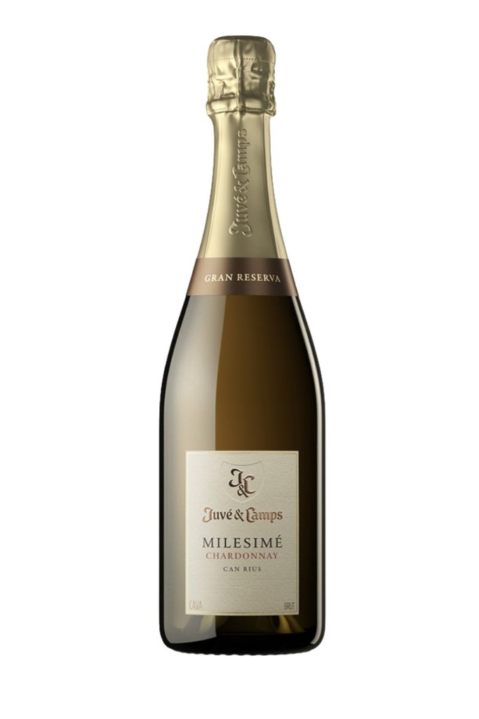 JUVÉ & CAMPS MILESIMÉ CHARDONNAY GRAN RESERVA BRUT