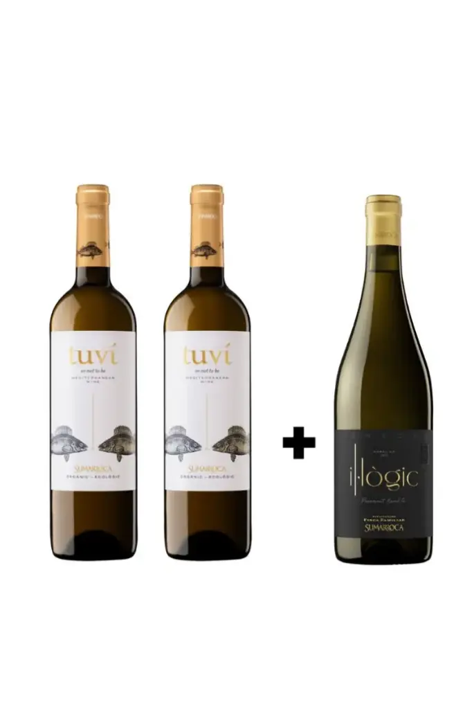 Sumarroca Tuví & Il·logic 2+1