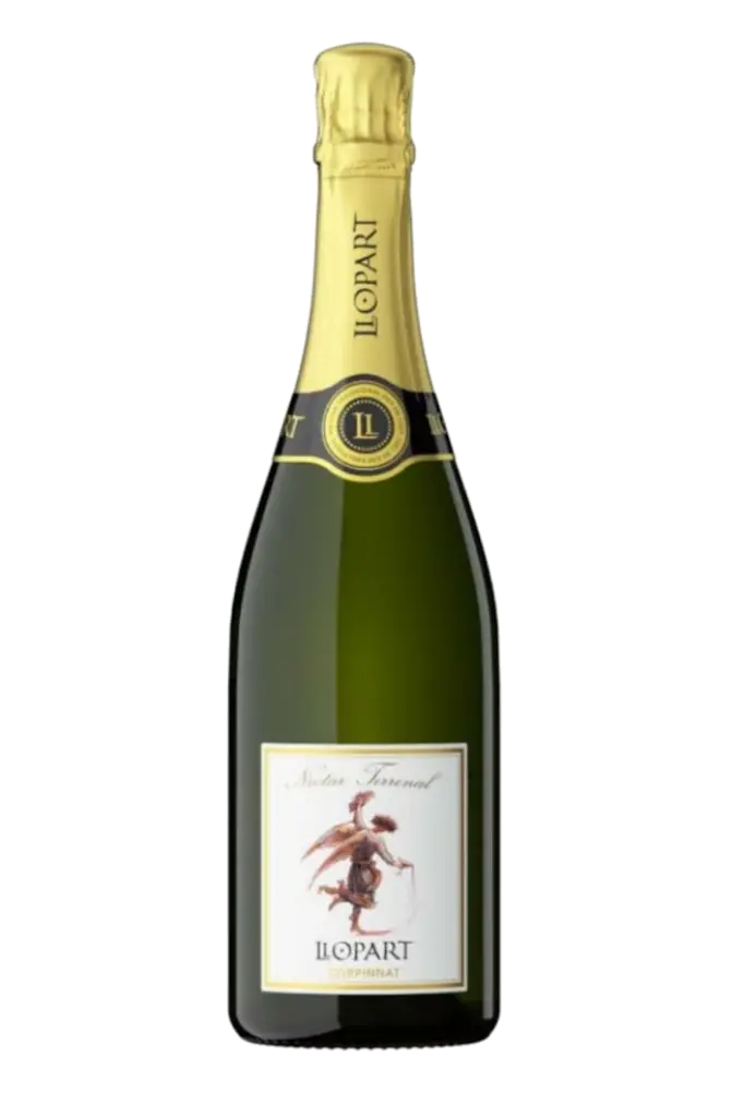 Llopart Nectar Terrenal Semi Dolç