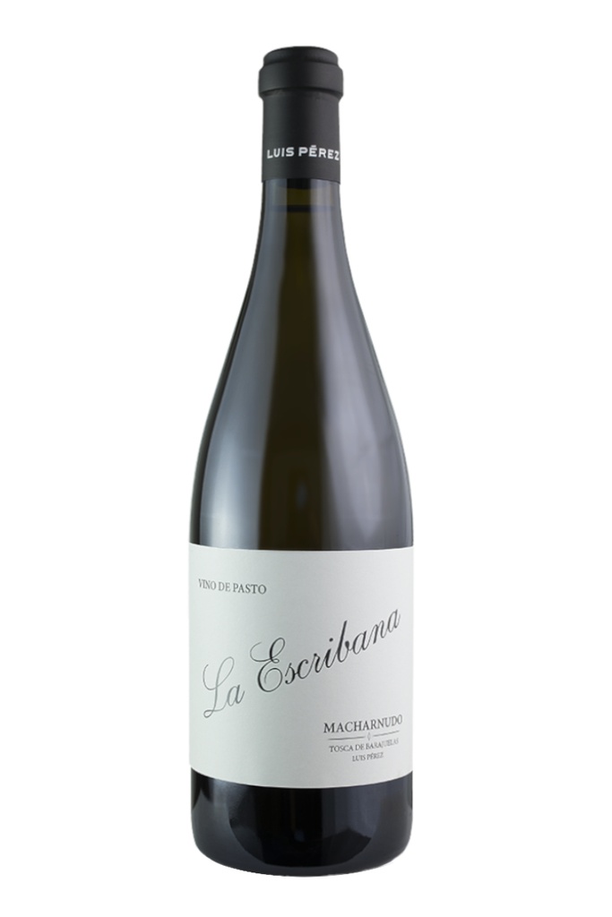 LUIS PÉREZ LA ESCRIBANA BLANCO