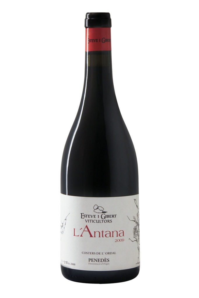 Esteve i Gibert l'Antana