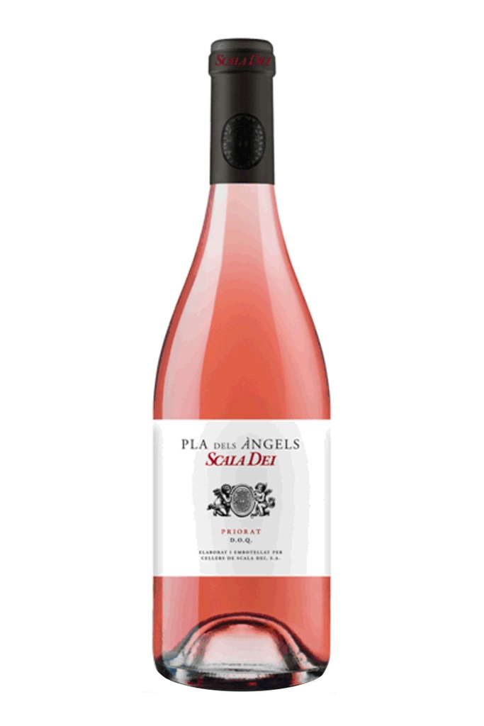 SCALA DEI PLA DELS ANGELS ROSAT