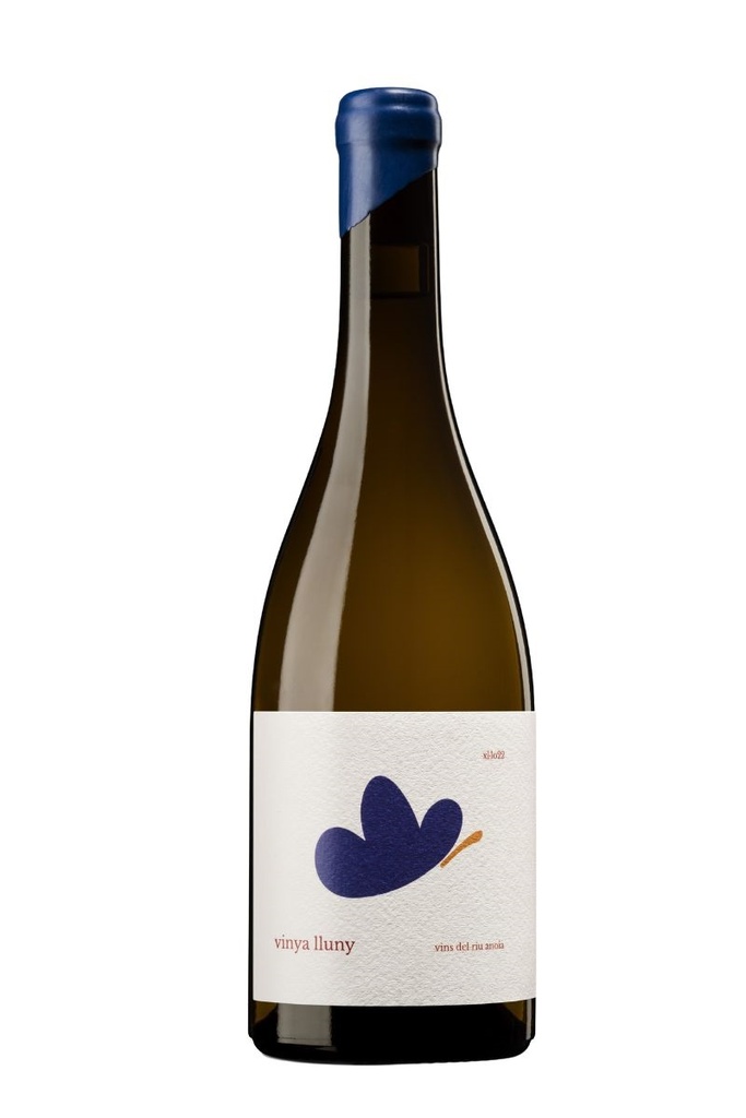 AURORA CARAFÍ VINYA LLUNY