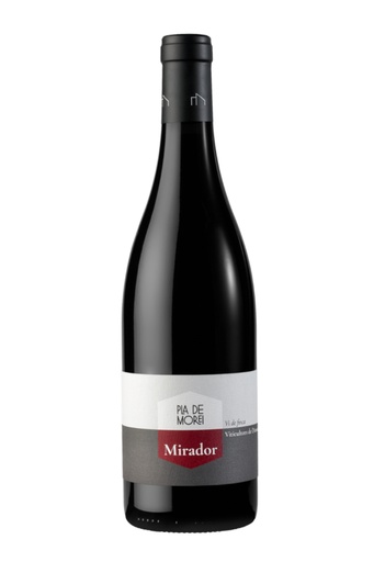 [40219.2022] PLA DE MOREI MIRADOR NEGRE