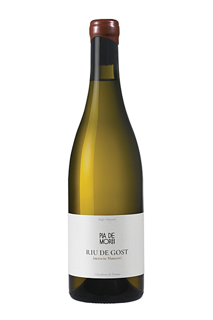 PLA DE MOREI RIU DE GOST INCROCIO MANZONI