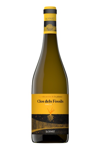 [42125.2023] LLOPART CLOS DELS FOSSILS