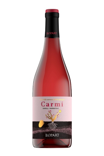 [42127.2024] LLOPART CARMI