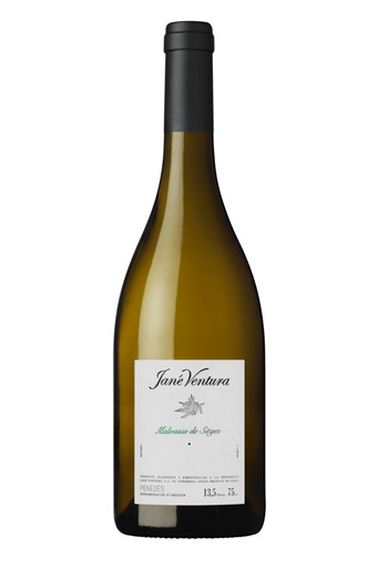 [42367.2023] JANE VENTURA MALVASIA DE SITGES