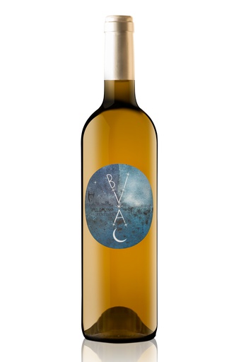 [42496.2025] VALL DOLINA BIVAC BLANC