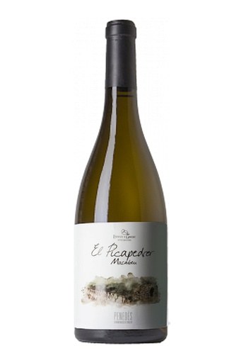 [42525.2022] Esteve i Gibert El Picapedrer