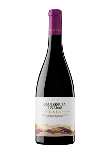 [42605.2022] JOAN SEGURA PUJADAS LAIA