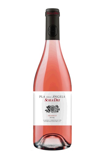 [44076.2023] SCALA DEI PLA DELS ANGELS ROSAT