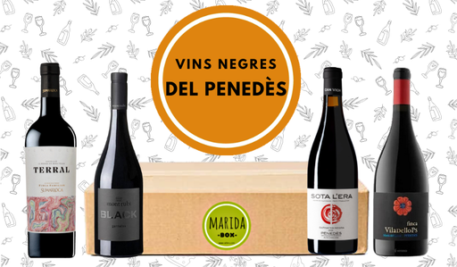 MARIDA BOX TINTOS DEL PENEDÈS
