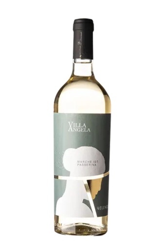 VERDICCHIO DEI CASTELLI DI JESI