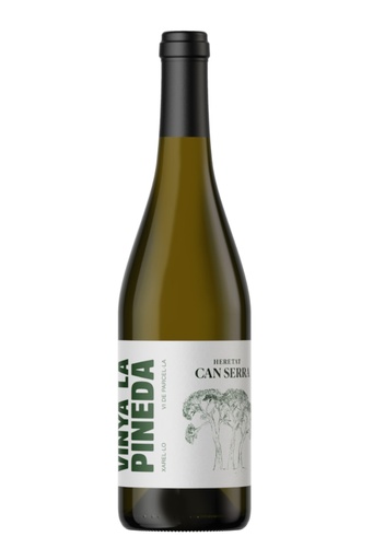 [427608.2023] CAN SERRA LA PINEDA WHITE WINE